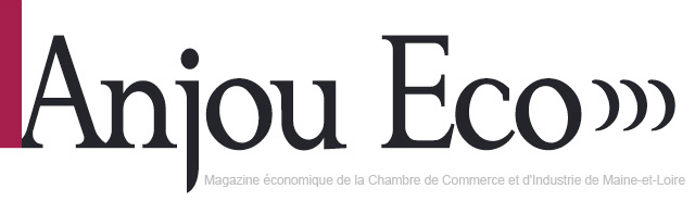 Logo Anjou Economique